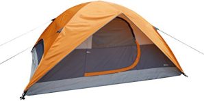 AmazonBasics 4 Person Polyester Dome Water Resistant Tent for Camping and Hiking with Back Window and Floor (Multicolour)