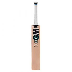 GM Diamond 404 English Willow Cricket Bat for Men and Boys | Short Handle | Ready to Play | Lightweight | Free Cover | Short Handle